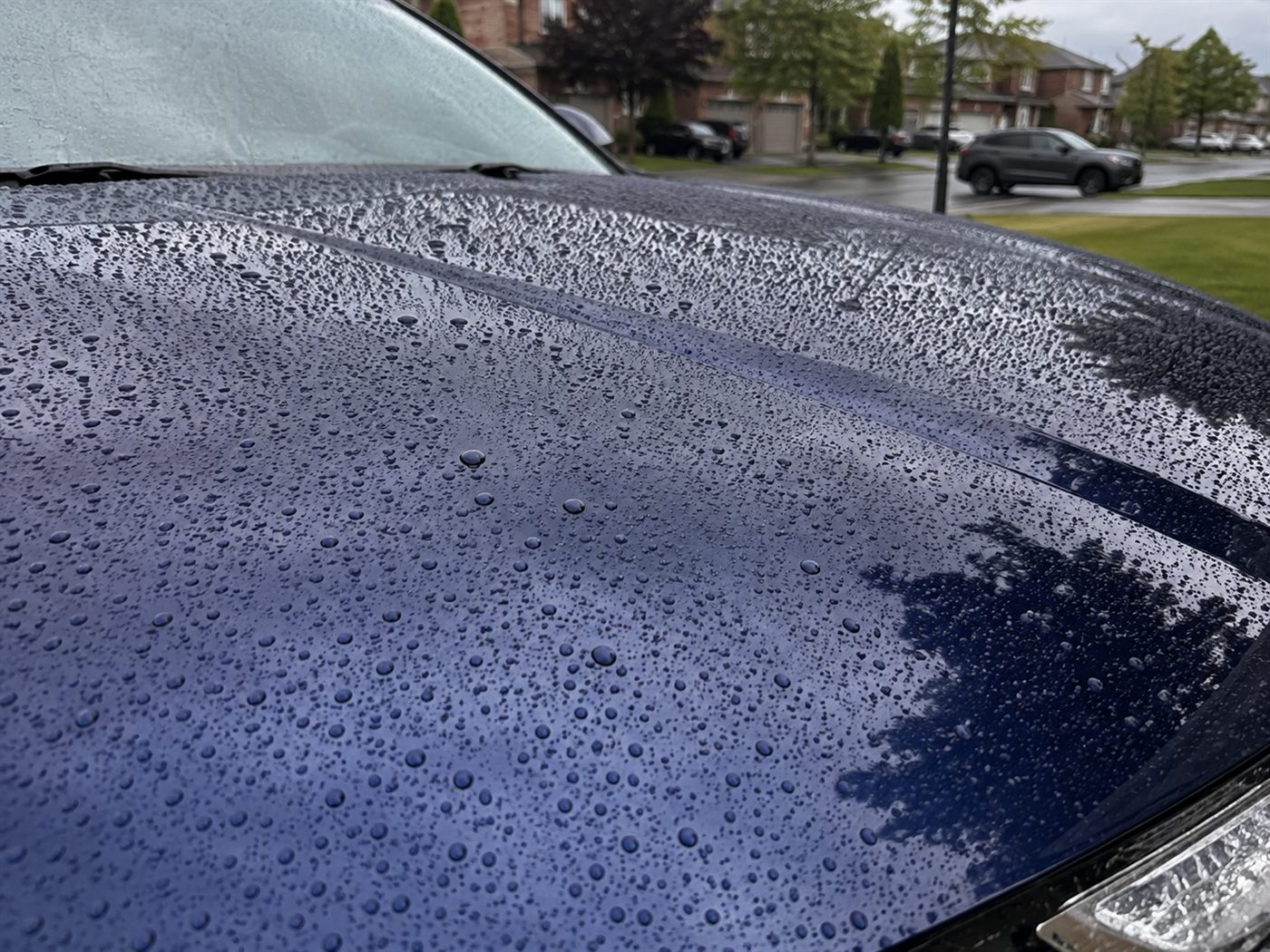 Water beading on freshly detailed paint, showing hydrophobic protection