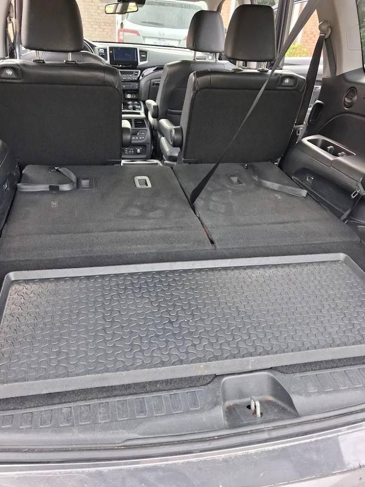 Cargo area with the rear seats folded flat and carpet freshly detailed